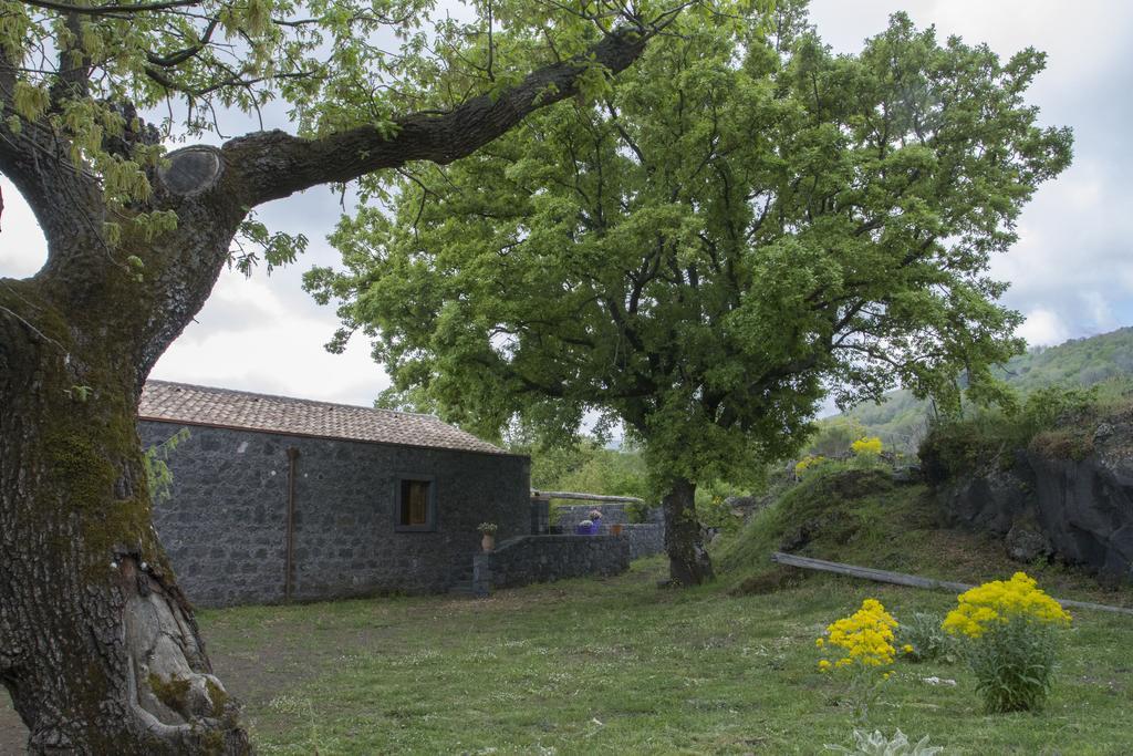 Viola Nel Parco Villa Sant'Alfio ภายนอก รูปภาพ