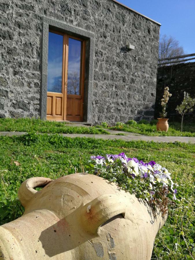 Viola Nel Parco Villa Sant'Alfio ภายนอก รูปภาพ