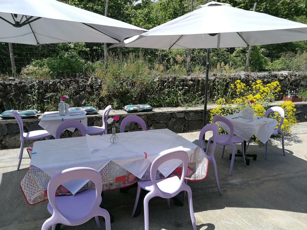 Viola Nel Parco Villa Sant'Alfio ภายนอก รูปภาพ