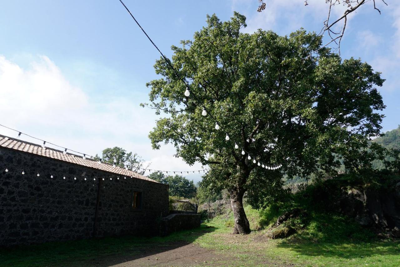 Viola Nel Parco Villa Sant'Alfio ภายนอก รูปภาพ